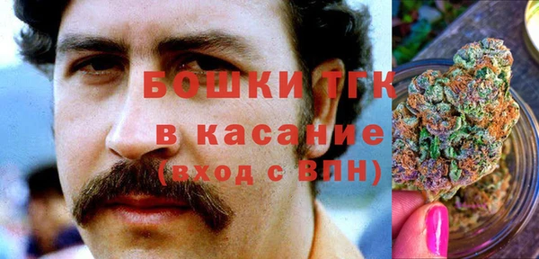 прущие крисы Алексеевка