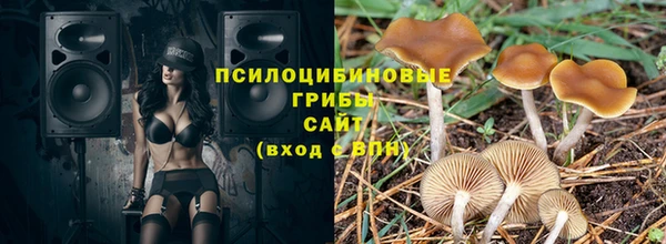 прущие крисы Алексеевка