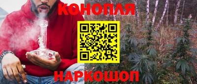Альфа ПВП Донецк